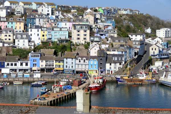 House sit in Brixham, United Kingdom