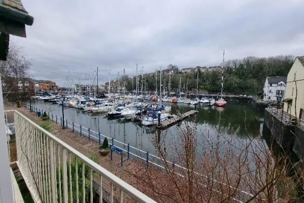 House sit in Penarth, United Kingdom