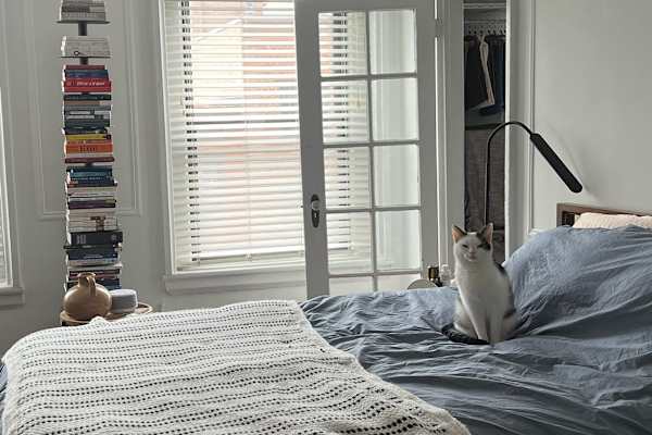 House sit in Brooklyn, NY, US