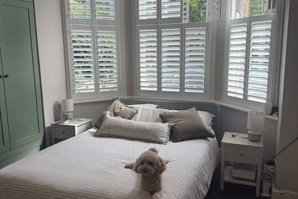 House sit in London, United Kingdom