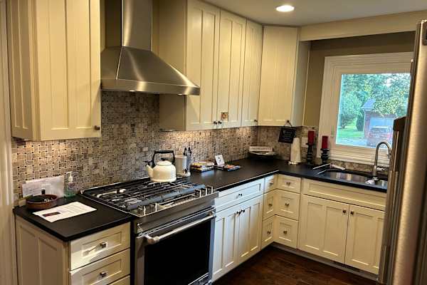 House sit in Geneva, IL, US