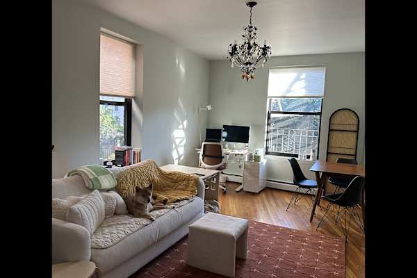 House sit in Brooklyn, NY, US