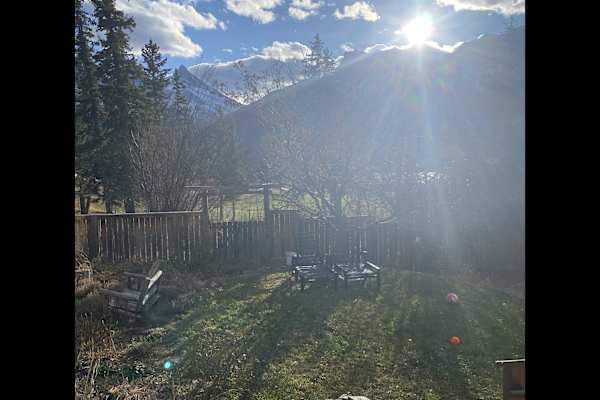 House sit in Canmore, AB, Canada