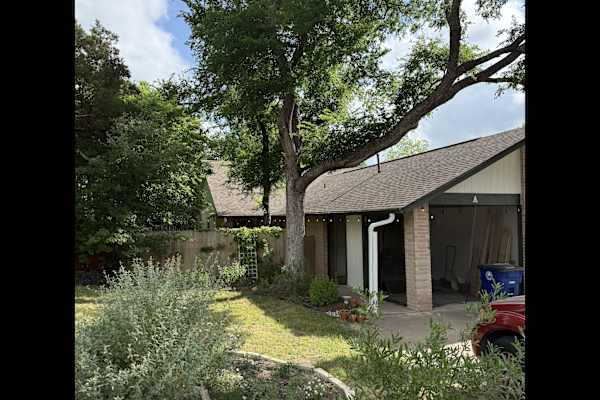 House sit in Austin, TX, US