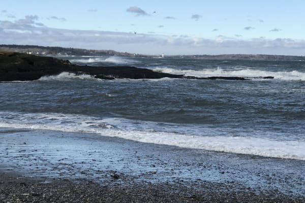 House sit in Cape Elizabeth, ME, US
