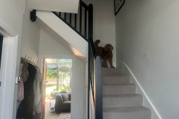 House sit in London, United Kingdom
