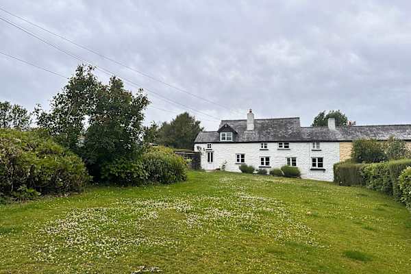 House sit in Chepstow, United Kingdom