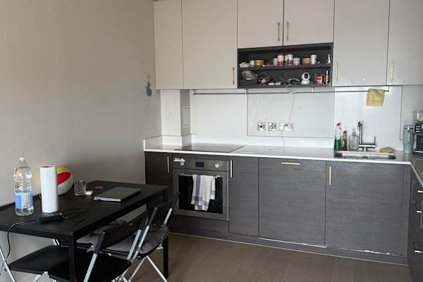 House sit in London, United Kingdom