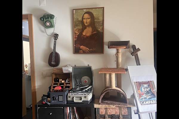 House sit in Lisbon, Portugal