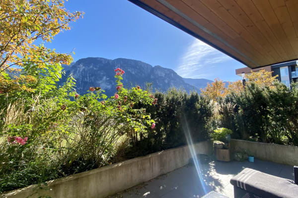 House sit in Squamish, BC, Canada