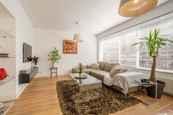 House sit in Rotterdam, Netherlands