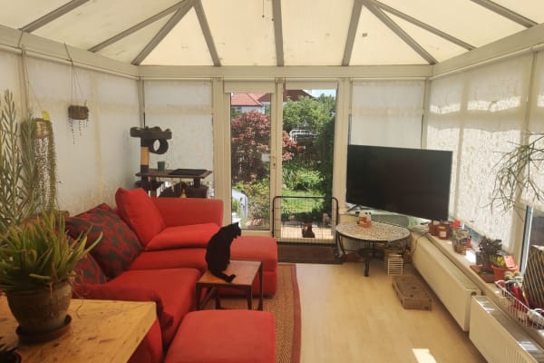 House sit in London, United Kingdom