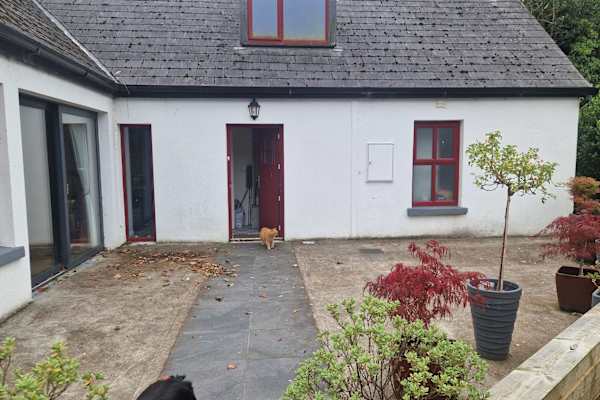 House sit in Ballinrobe, Ireland