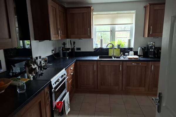 House sit in Storrington, United Kingdom