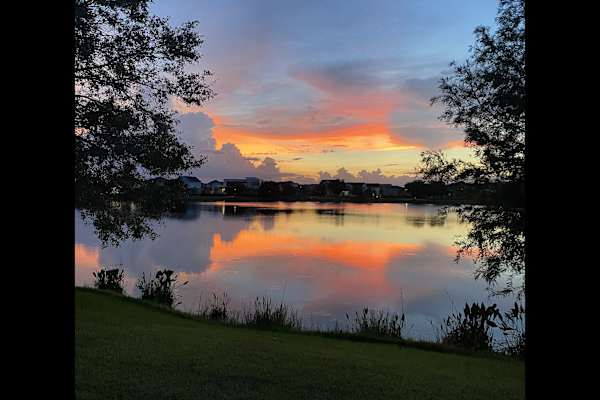 House sit in Orlando, FL, US