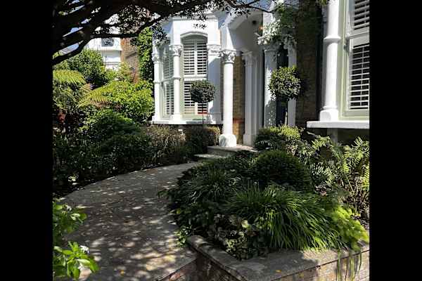 House sit in Acton, United Kingdom