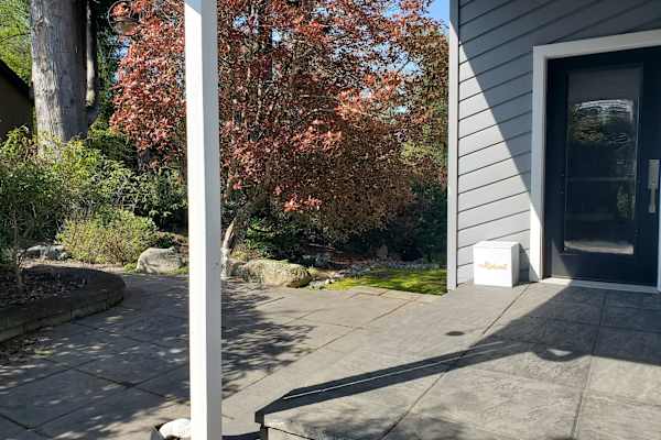 House sit in Bellingham, WA, US