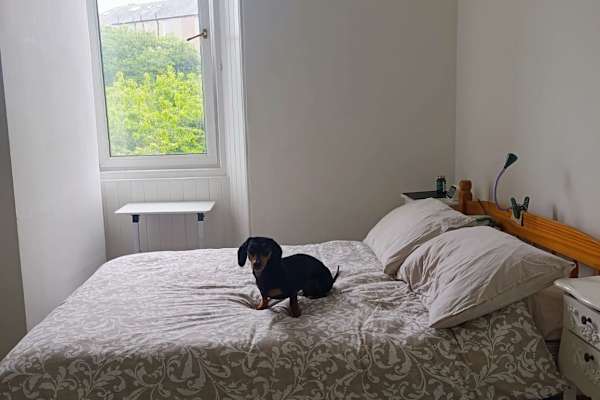 House sit in Edinburgh, United Kingdom