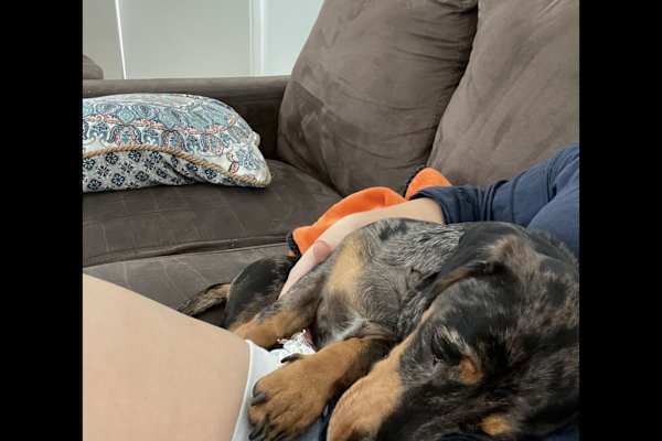 House sit in Tokyo, Japan
