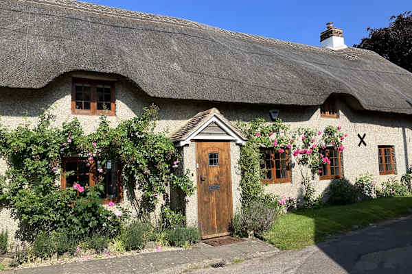 House sit in Wool, United Kingdom