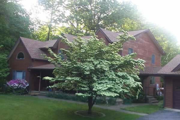 House sit in Ellicott City, MD, US