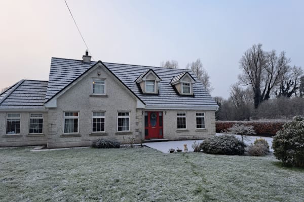 House sit in Naas, Ireland