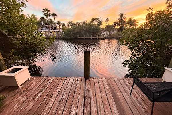 House sit in Bonita Springs, FL, US