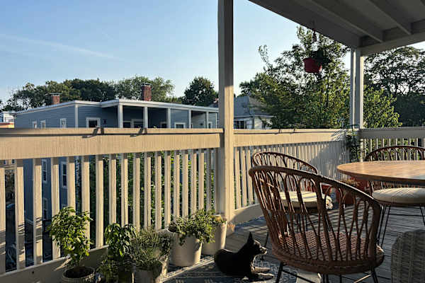 House sit in Jamaica Plain, MA, US