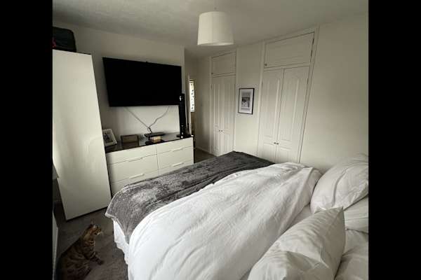 House sit in St Albans, United Kingdom