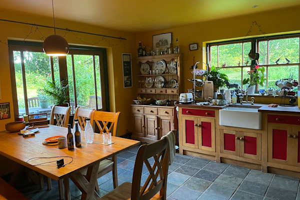 House sit in Gowran, Ireland