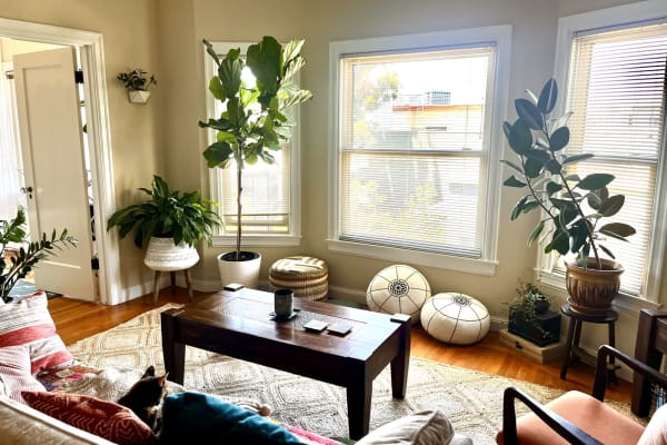 House sit in Oakland, CA, US