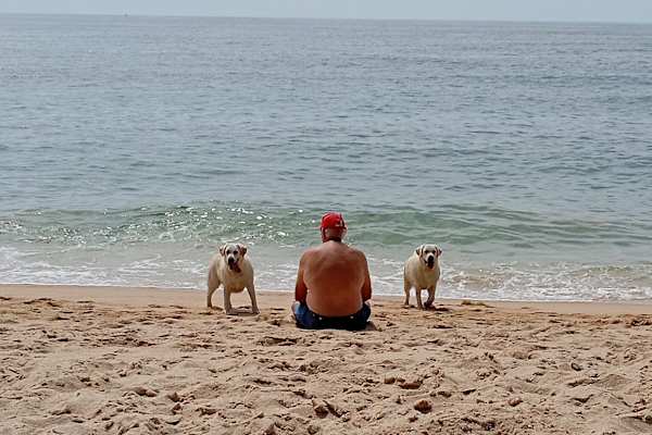 House sit in Alfarim, Portugal