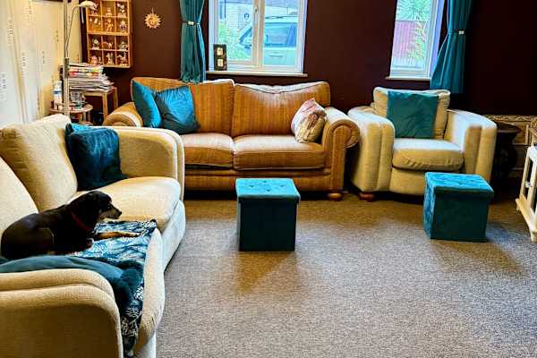 House sit in Exeter, United Kingdom