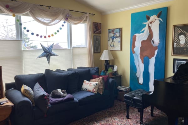 House sit in San Francisco, CA, US