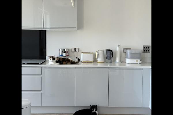 House sit in Woolwich, United Kingdom