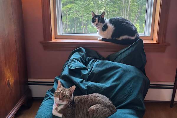 House sit in Hanover, NH, US