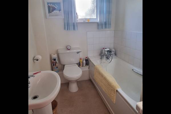 House sit in Tiverton, United Kingdom