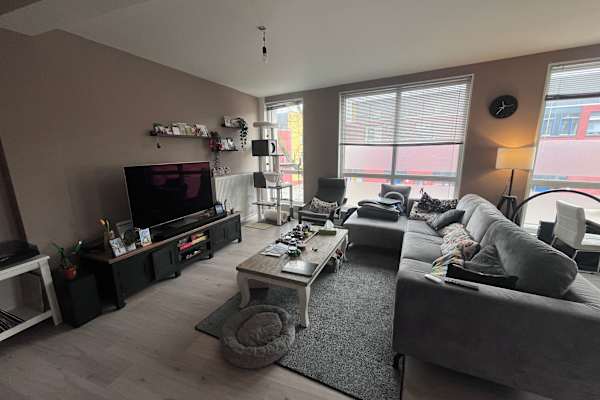 House sit in Zwolle, Netherlands