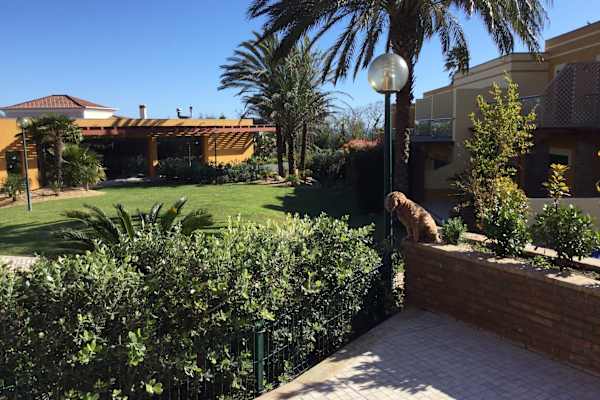 House sit in Lagos, Portugal