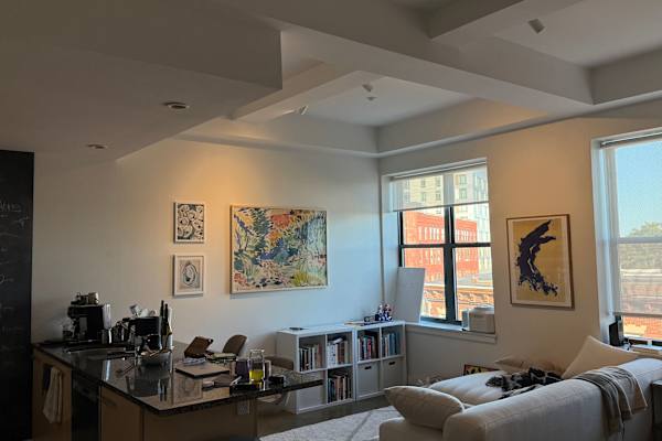 House sit in Boston, MA, US