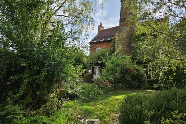 House sit in East Grinstead, United Kingdom