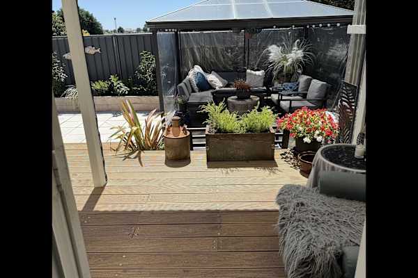 House sit in Hastings, New Zealand