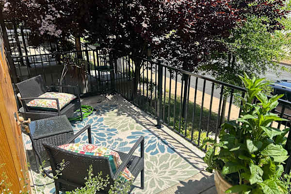 House sit in Charlottesville, VA, US