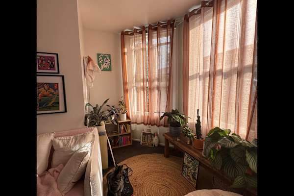 House sit in Auckland, New Zealand
