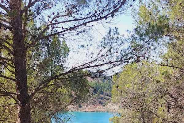 House sit in Navarrés, Spain