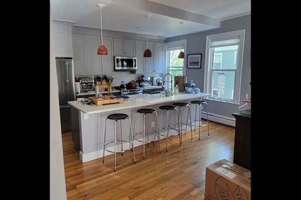 House sit in Cambridge, MA, US