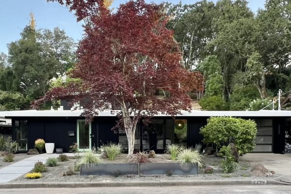 House sit in Santa Rosa, CA, US