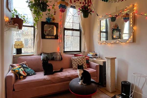 House sit in Bushwick, NY, US