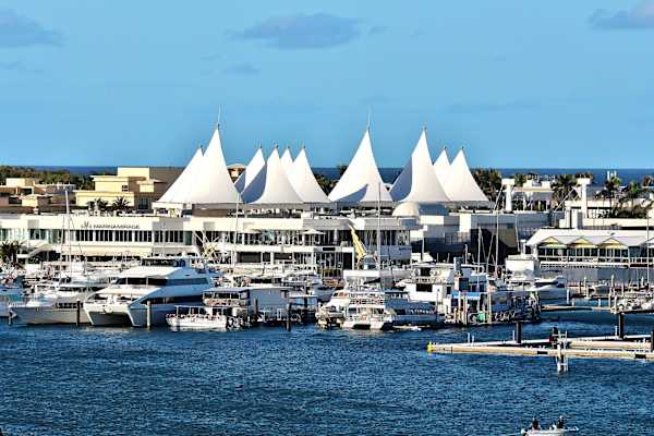 House sit in Gold Coast, QLD, Australia