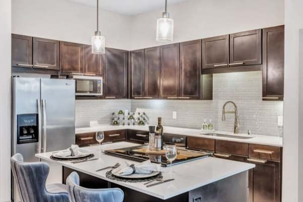 House sit in Dallas, TX, US